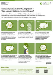 Infografik: Schutzimpfung mit mRNA-Impfstoff – Was passiert dabei in meinem Körper?